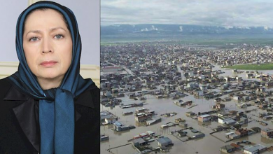 Mme Radjavi