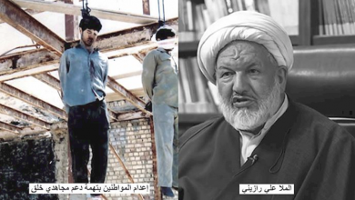 Ali Razini