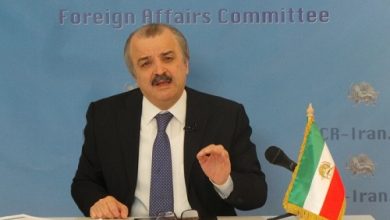 Mohammad Mohaddessin,
