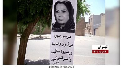 Activités des unités de résistance dans 21 villes d’Iran