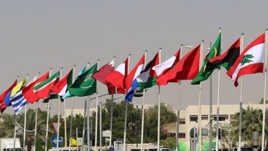 Vingt et un députés de pays arabes et africains expriment leur soutien au soulèvement du peuple iranien