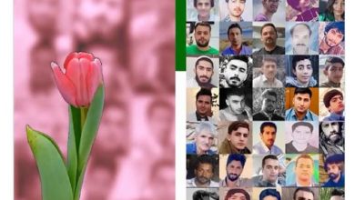 Publications de 17 nouveaux noms de martyrs du soulèvement national