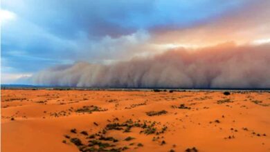Le danger du déplacement des dunes de sable en Iran
