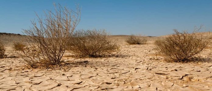 Le danger du déplacement des dunes de sable en Iran