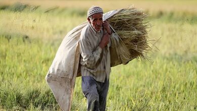 Le régime iranien confisque les terres agricoles, une démarche agressive et sans précédent
