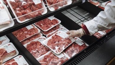 Pauvreté, pénurie alimentaire et impact sur l’industrie de l’élevage iranienne