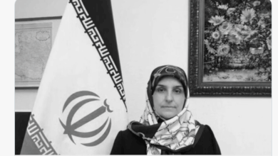 Appel contre la nomination d’une apologiste du régime iranien au comité consultatif du CDH