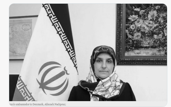 Appel contre la nomination d’une apologiste du régime iranien au comité consultatif du CDH