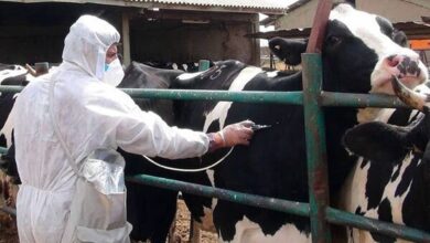 L’Iran confronté à une crise de sécurité alimentaire et à l’aggravation de la pauvreté