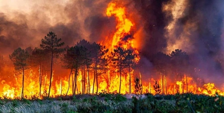 Les poumons de l’Iran en feu : Incendies de forêt, air toxique et enjeux politiques d’un effondrement environnemental
