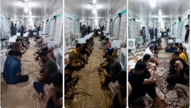Iran : La grève de la faim de 1500 condamnés à mort à Ghezel Hessar entre dans sa troisième semaine